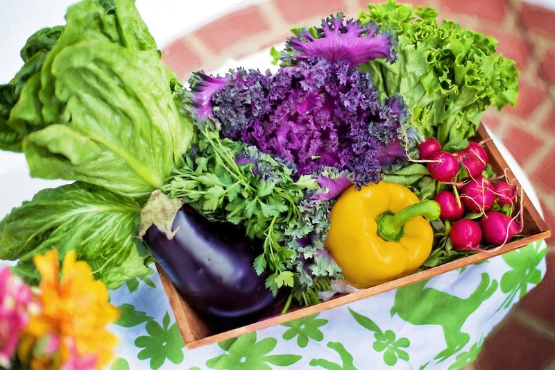 Enchanted Eggplants