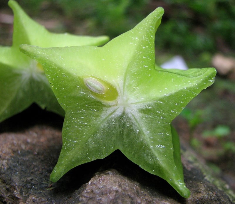 Sparkling Starfruit